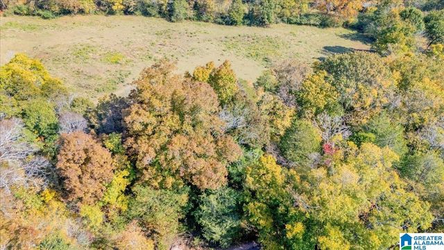 1215 RED VALLEY ROAD, Remlap, AL 35133
