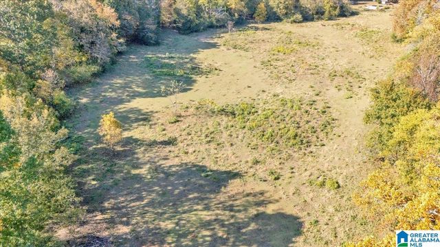 1215 RED VALLEY ROAD, Remlap, AL 35133