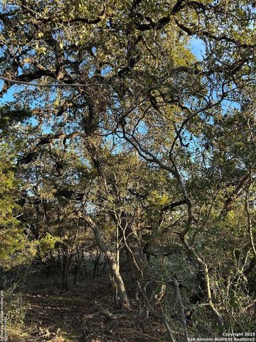 1151 OVERBROOK LN, Spring Branch, TX 78070