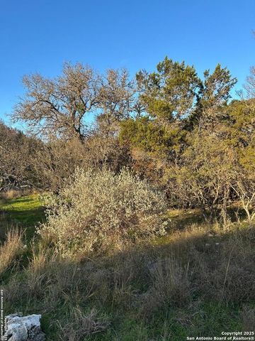 1151 OVERBROOK LN, Spring Branch, TX 78070