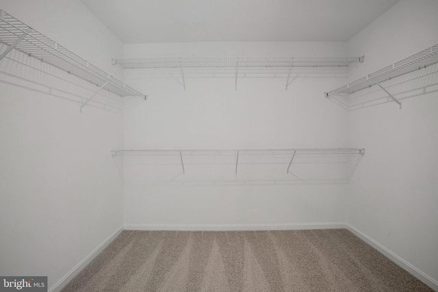 1619 SHADY TREE CT, Bel Air, MD 21015