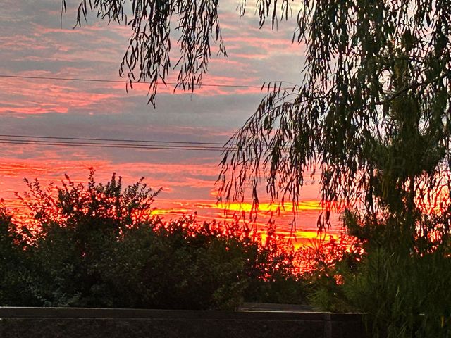 1003 CABERNET Way, Amarillo, TX 79124