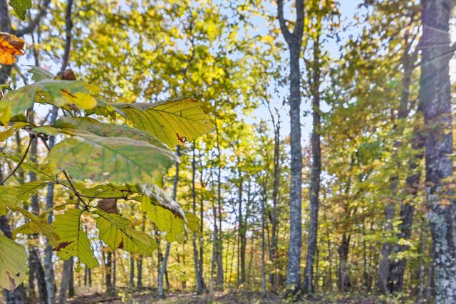 680 Rattlesnake Spring Road, Sewanee, TN 37375