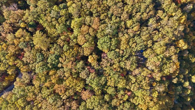 680 Rattlesnake Spring Road, Sewanee, TN 37375