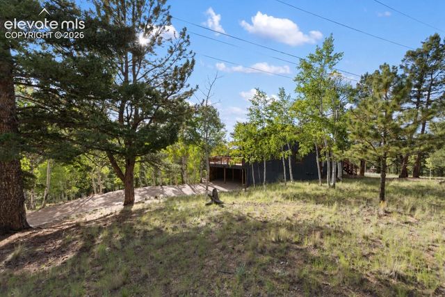 307 Berylium Road, Florissant, CO 80816