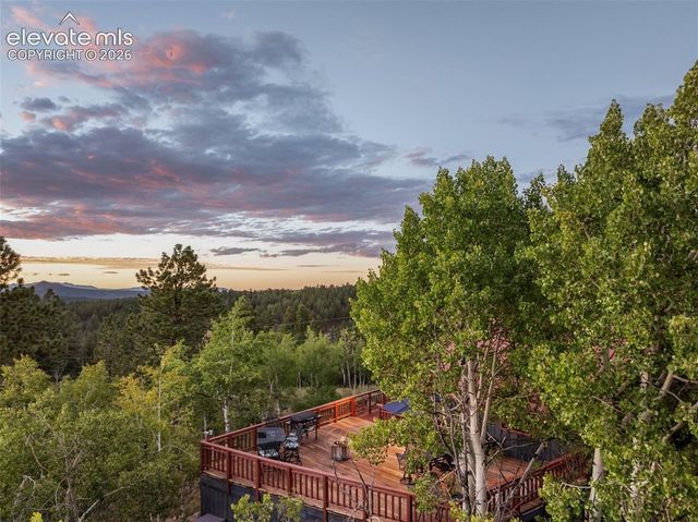 307 Berylium Road, Florissant, CO 80816