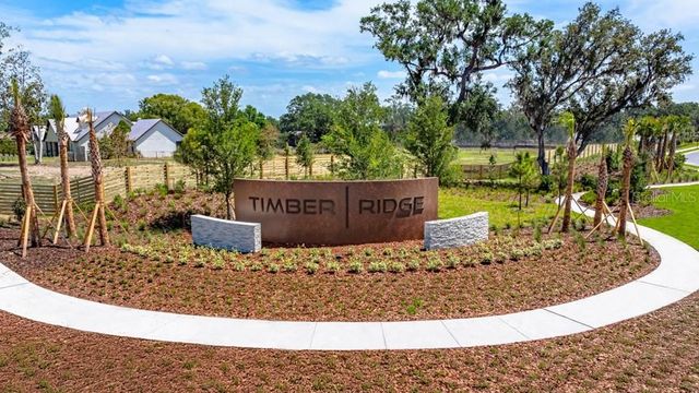 3616 PINE PEAK LOOP, Plant City, FL 33565