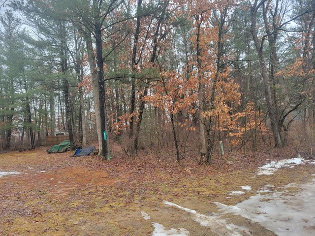 8650 Paw Paw Trail, Howard City, MI 49329