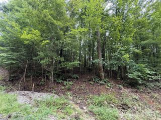 0 Woodchuck Lane 111, Marion, NC 28752