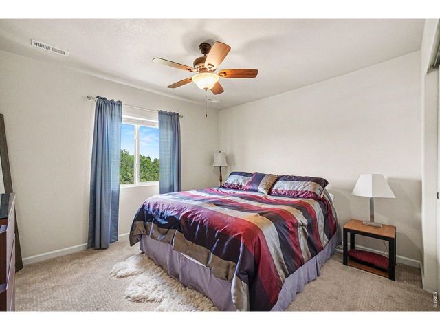 1124 Wagon Bend Rd, Berthoud, CO 80513