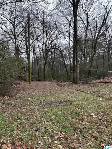 254 FLINT AVENUE, Gardendale, AL 35071