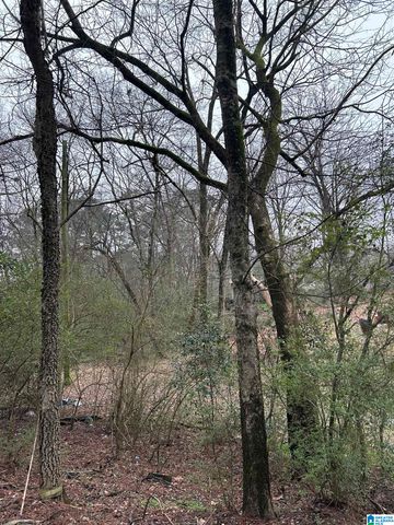 254 FLINT AVENUE, Gardendale, AL 35071