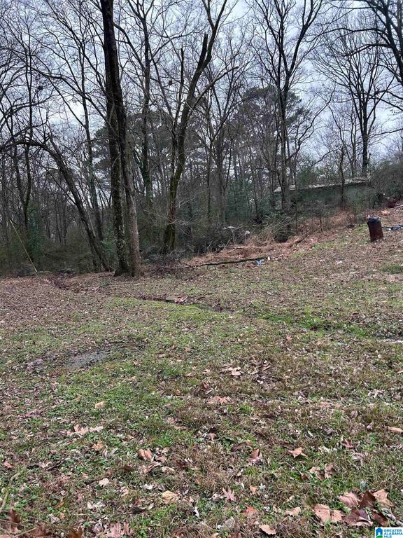 254 FLINT AVENUE, Gardendale, AL 35071