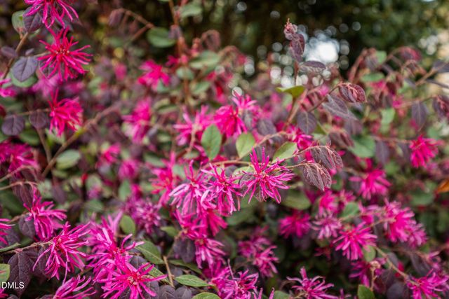 202 Lantern Ridge Lane, Cary, NC 27519