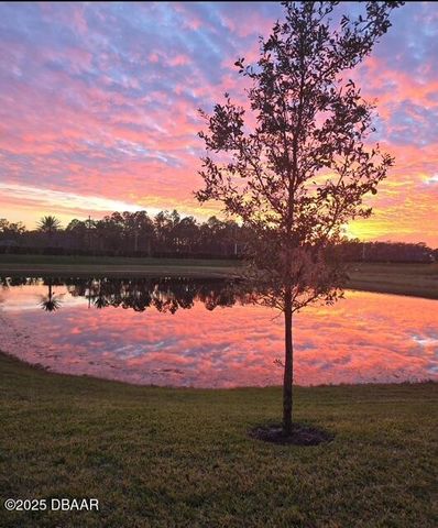 6356 Hanfield Drive, Port Orange, FL 32128