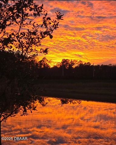 6356 Hanfield Drive, Port Orange, FL 32128