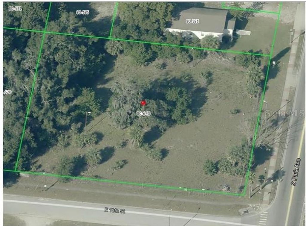 950 S PARK AVENUE, Apopka, FL 32703