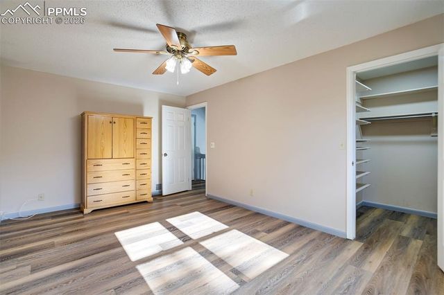 2955 Reuben Drive, Colorado Springs, CO 80918