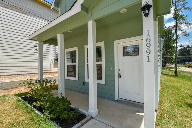 16991 W Dounreay, Montgomery, TX 77316