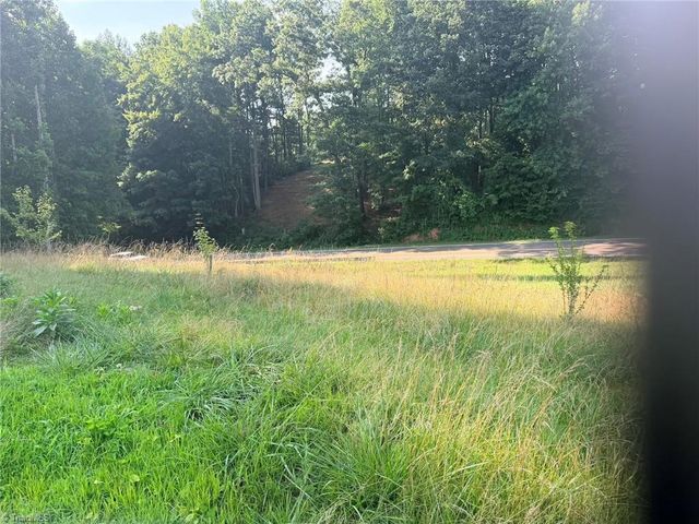 112 Hardwick Lane, Lowgap, NC 27024