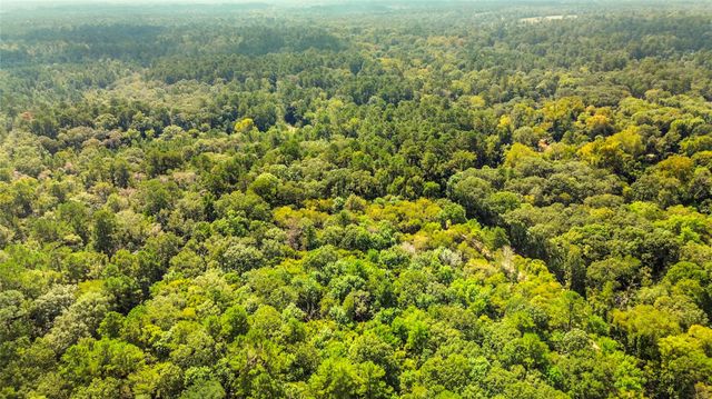 12865 Royal Forest Dr, Conroe, TX 77303