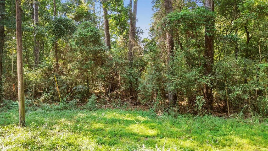 12865 Royal Forest Dr, Conroe, TX 77303