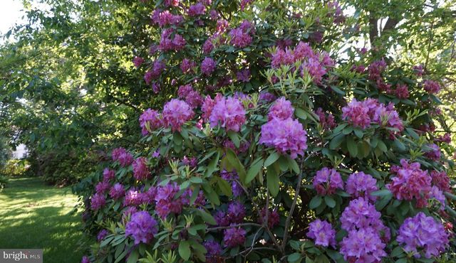 202 ELM AVE, Cheltenham, PA 19012