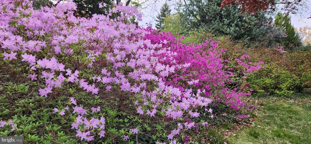 202 ELM AVE, Cheltenham, PA 19012