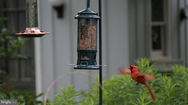 202 ELM AVE, Cheltenham, PA 19012