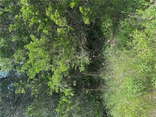 0 Chestnut Drive, Caldwell, TX 77836