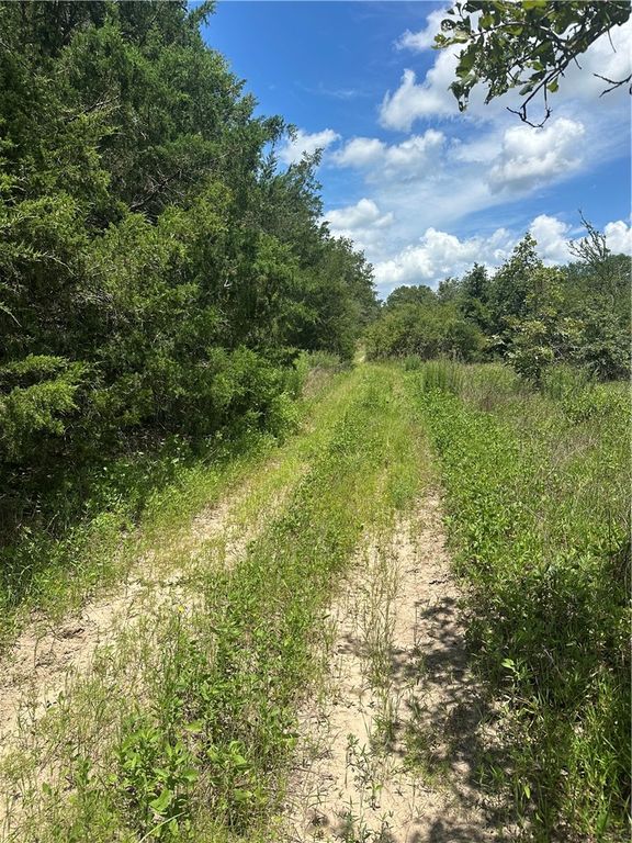 0 Chestnut Drive, Caldwell, TX 77836 — photo 2