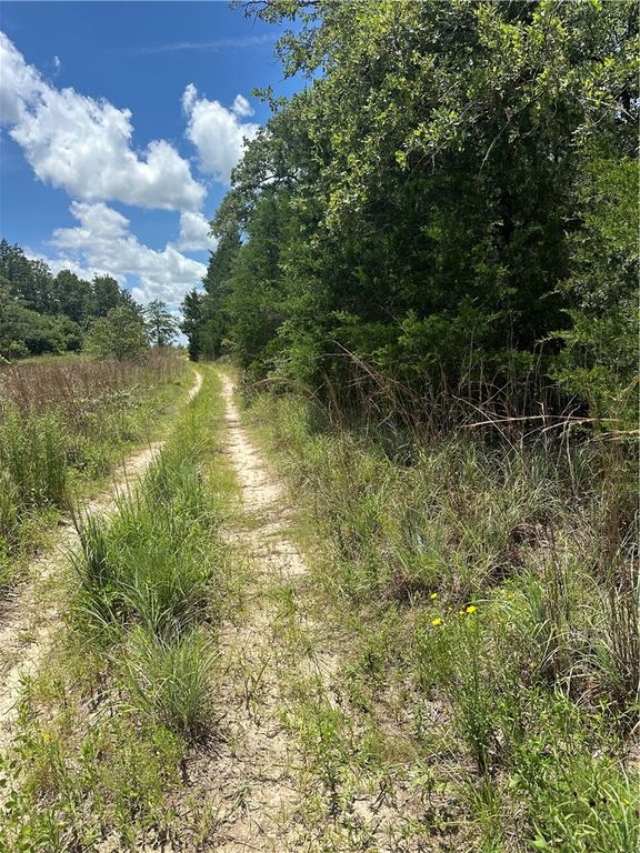 0 Chestnut Drive, Caldwell, TX 77836 — photo 3
