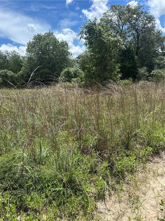 0 Chestnut Drive, Caldwell, TX 77836 — photo 4