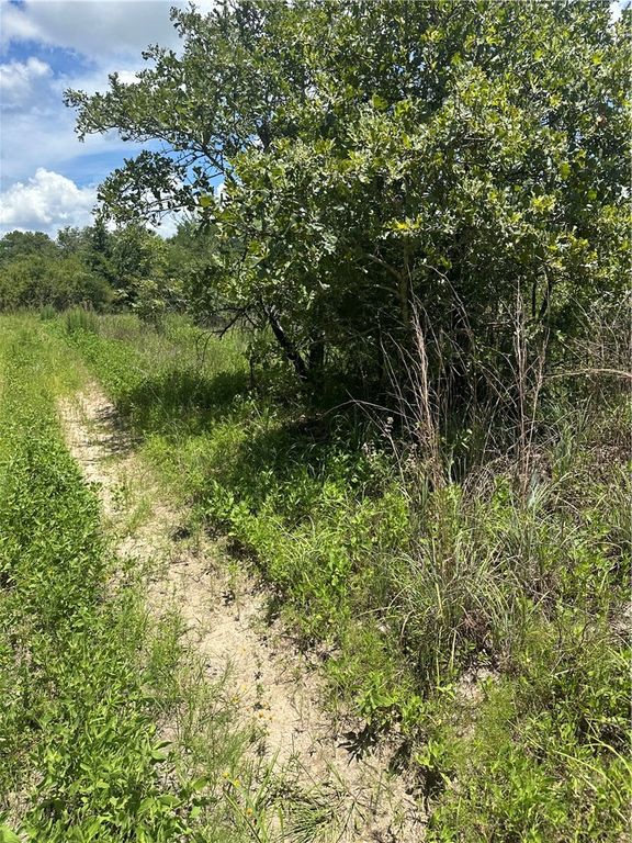 0 Chestnut Drive, Caldwell, TX 77836 — photo 5