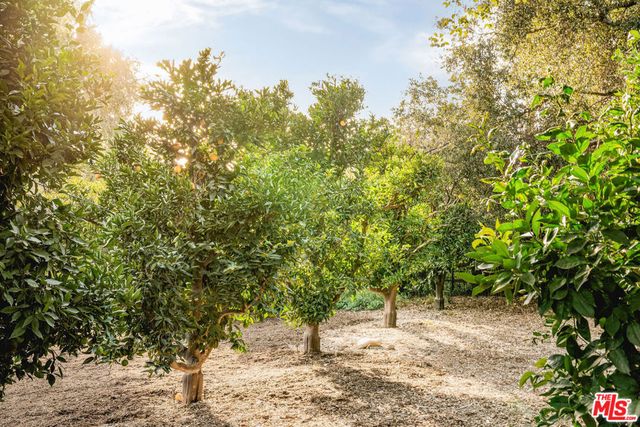 483 El Jina Lane, Ojai, CA 93023