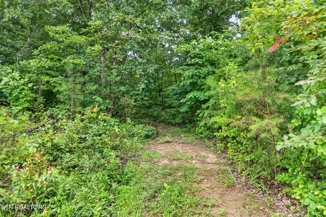 460 Jim Garrett Rd, Monterey, TN 38574
