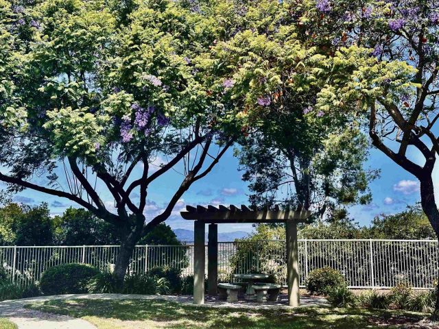 1259 Natoma Way C, Oceanside, CA 92057