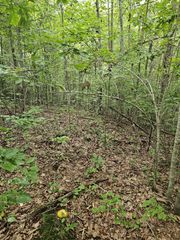 0 Company Farm Rd, Coalmont, TN 37313