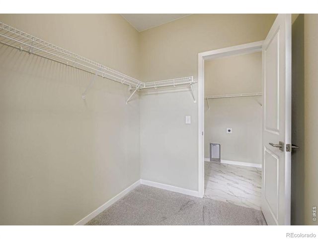 1003 Schlagel Street 8, Fort Collins, CO 80524