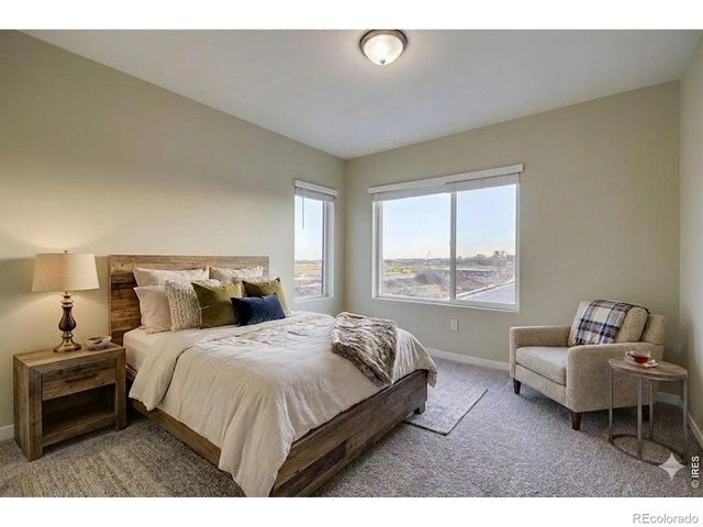1003 Schlagel Street 8, Fort Collins, CO 80524