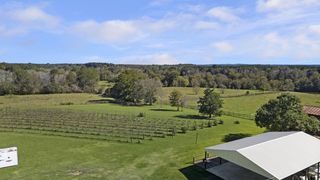 207 Dickens Ranch Road, Livingston, TX 77351