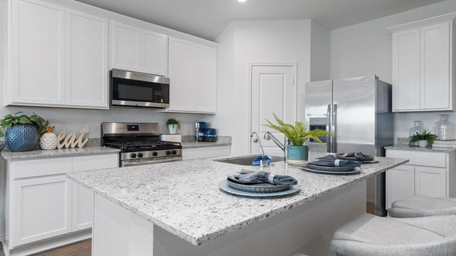 10711 Dogwood Sky Drive, Beasley, TX 77417