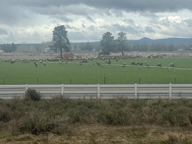 65070 Highway 20, Bend, OR 97703