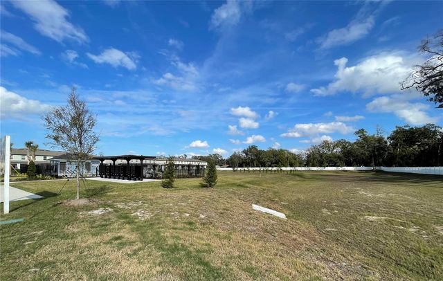 36221 RISA MICHELE STREET, Zephyrhills, FL 33541