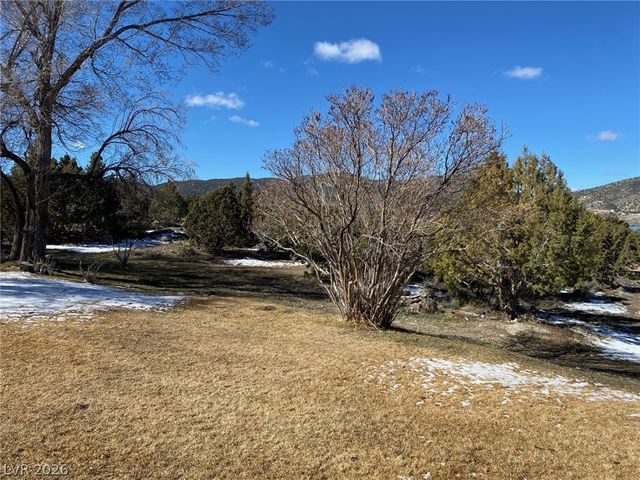 1171 South Bell Avenue, Ely, NV 89301