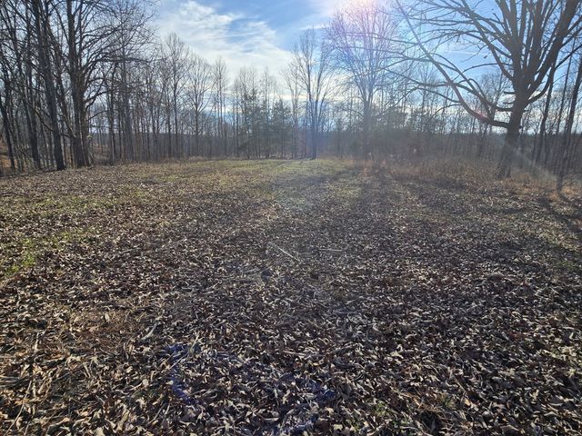 9510 Medlin Rd, Baxter, TN 38544