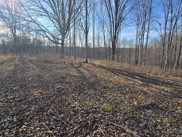9510 Medlin Rd, Baxter, TN 38544