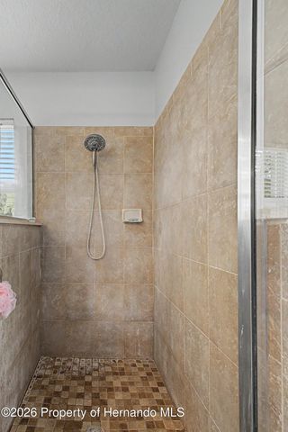 2262 Gaucho Avenue, Spring Hill, FL 34609