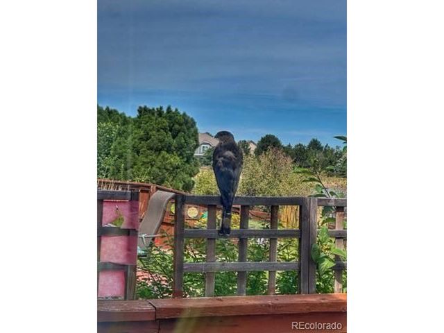 15975 Longford Dr, Parker, CO 80134