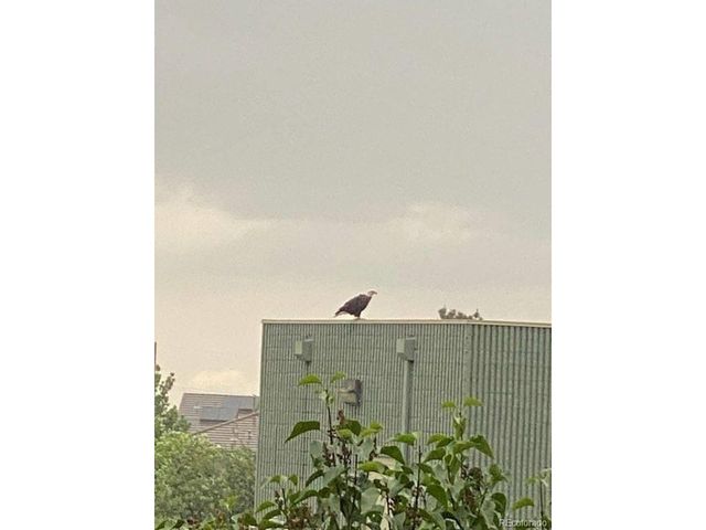 15975 Longford Dr, Parker, CO 80134